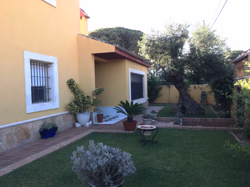 Jardín cuidado de la villa