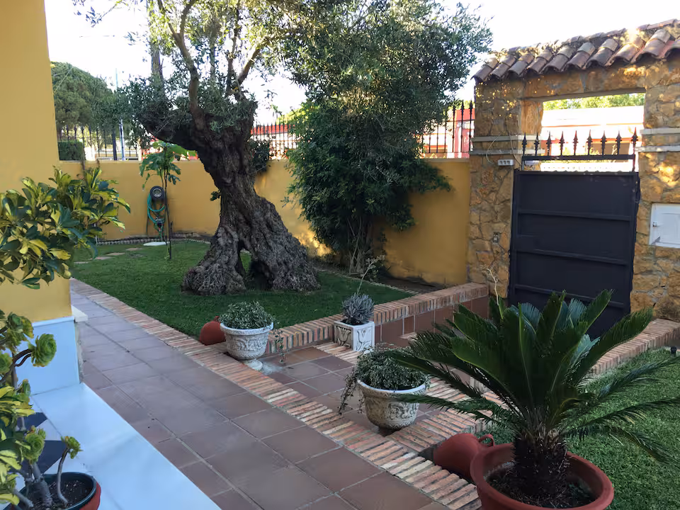Zona verde exterior